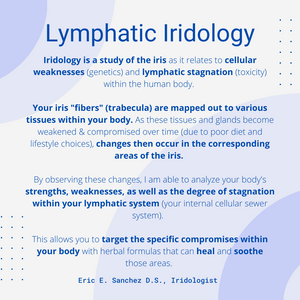 Iridology Analysis Report